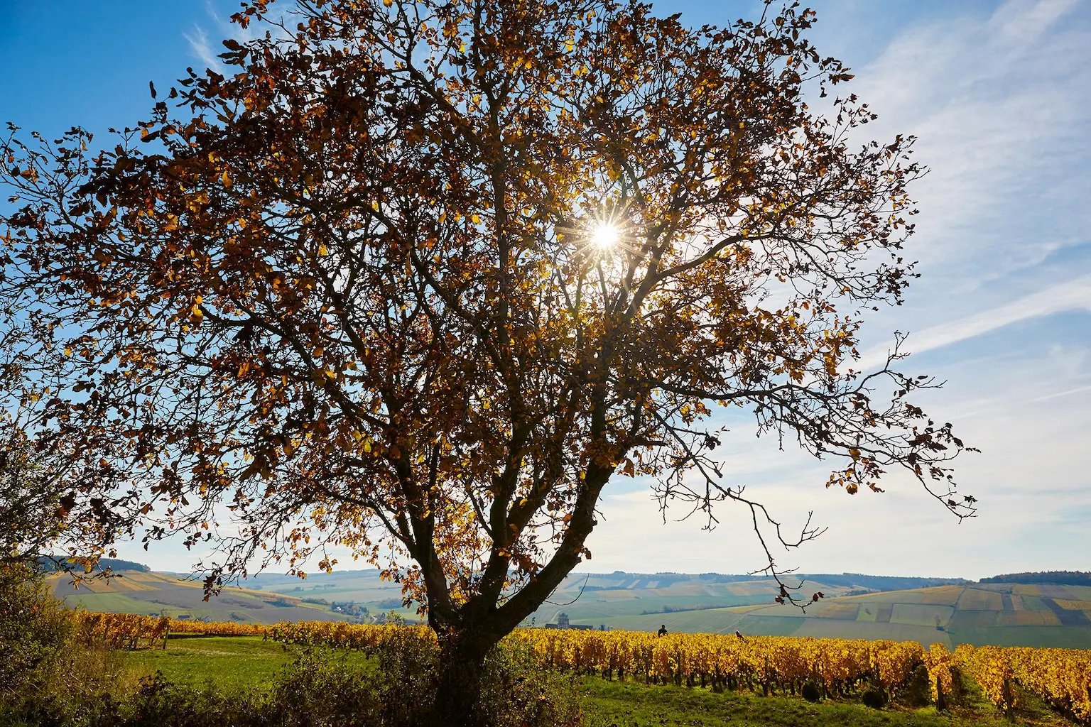 Test d’actualités du site